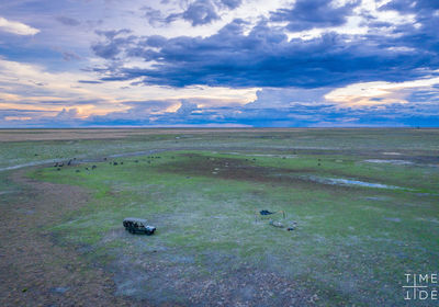 Game Drive